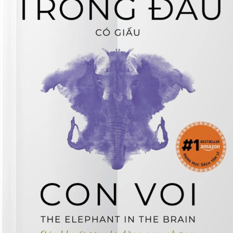 Trong Đầu Có Giấu Con Voi
